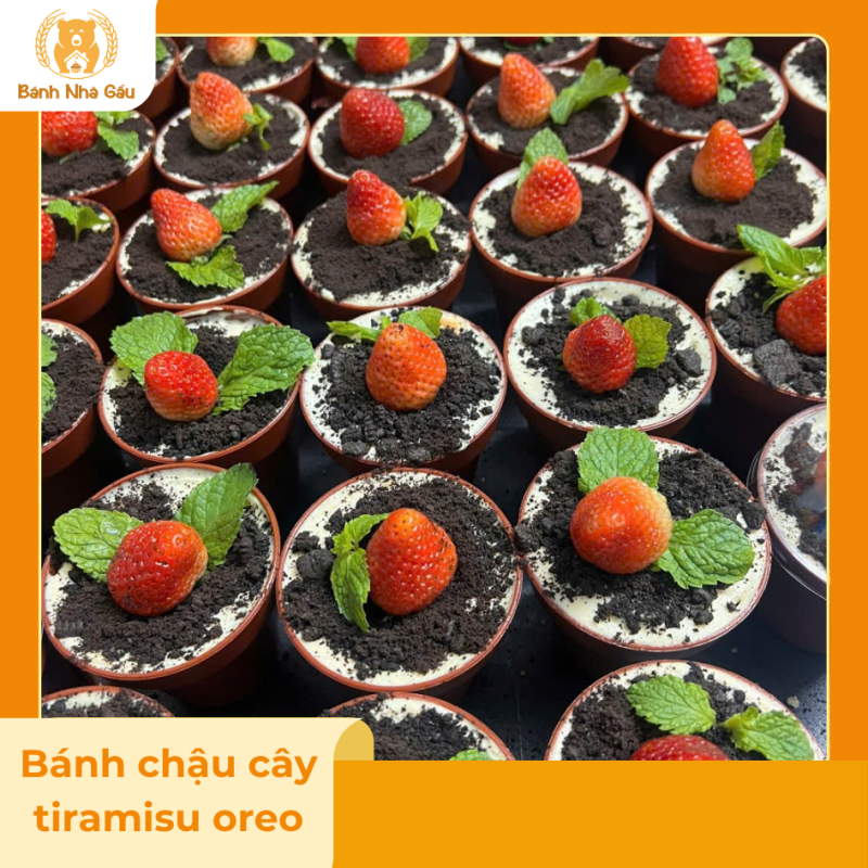 Bánh chậu cây