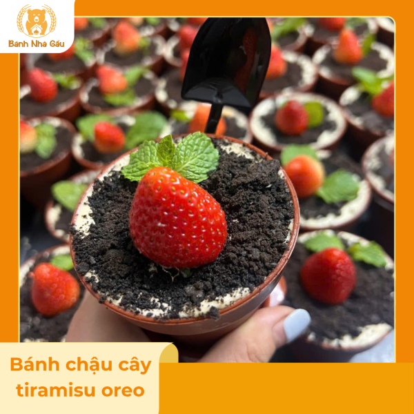 Bánh chậu cây tiramisu