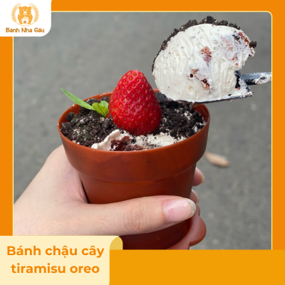Bánh chậu cây tiramisu oreo