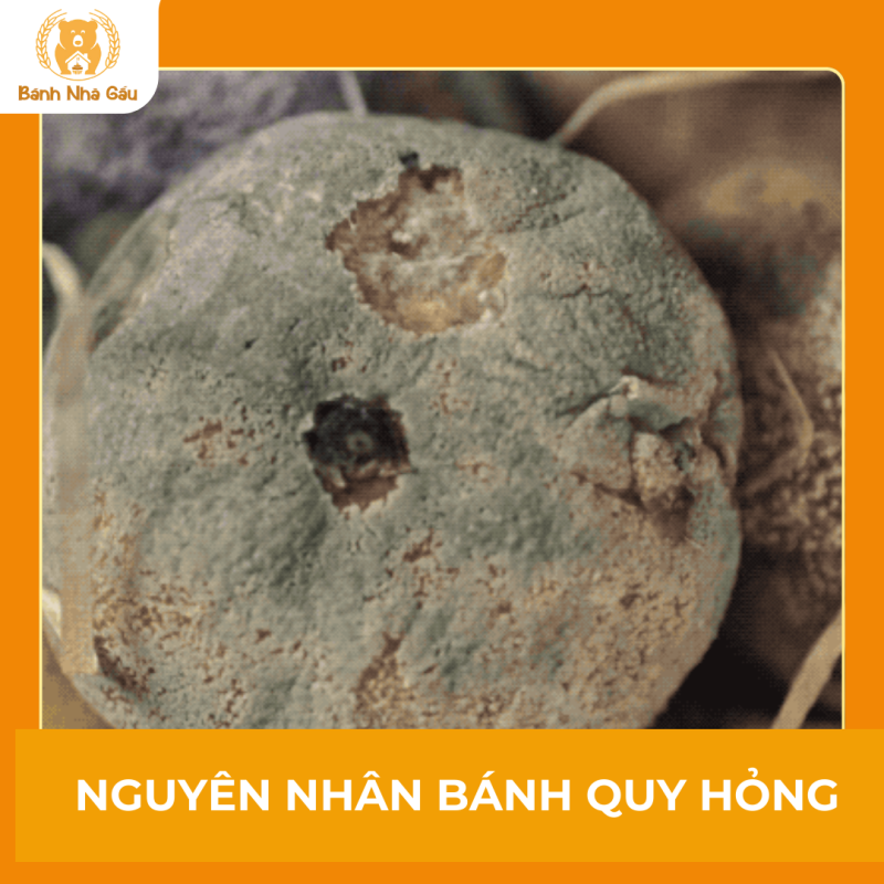 Nguyên nhân dẫn đến bánh quy hỏng